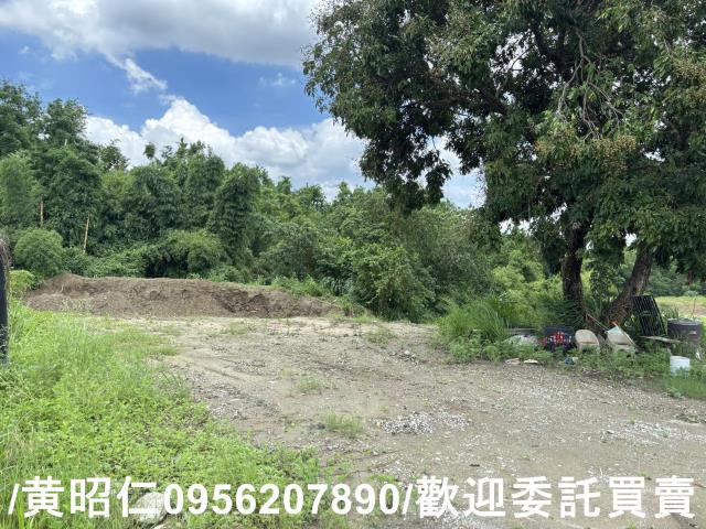 台南關廟農地-3