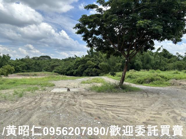 台南關廟農地-9
