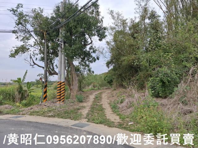 台南關廟農地-11