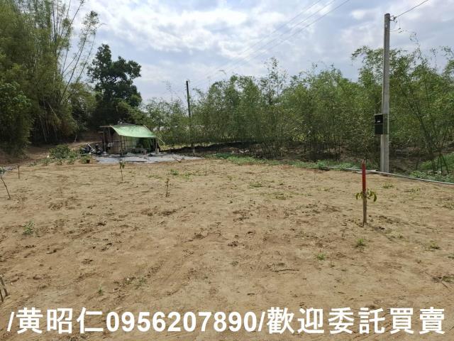 台南關廟農地-3