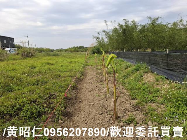 台南關廟農地-7
