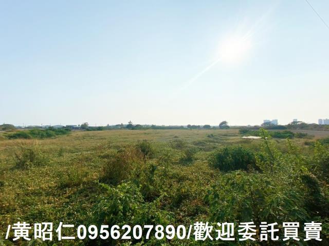 台南仁德農地-3