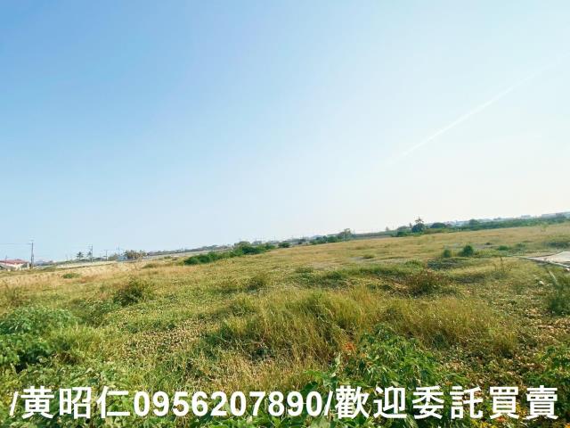 台南仁德農地-4