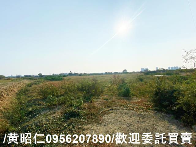 台南仁德農地-6