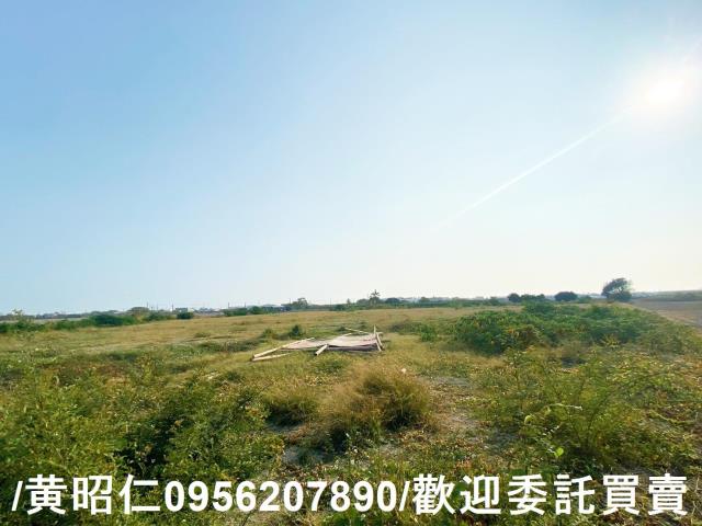 台南仁德農地-7