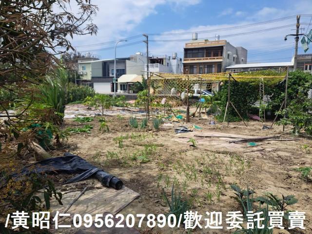 台南學甲農地-2