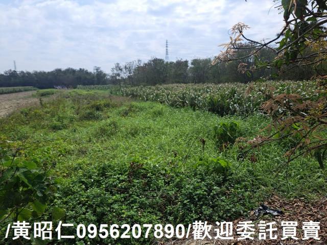 台南學甲農地-4