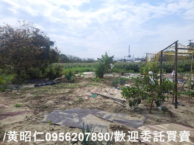 台南學甲農地-6
