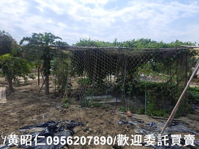 台南學甲農地-7