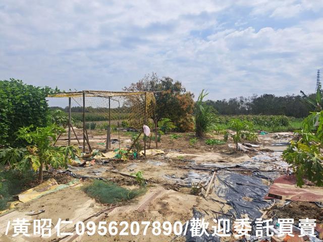 台南學甲農地-8