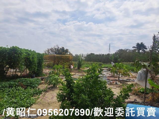 台南學甲農地-9