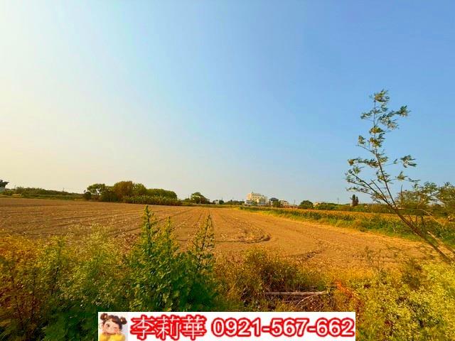 台南農地-5