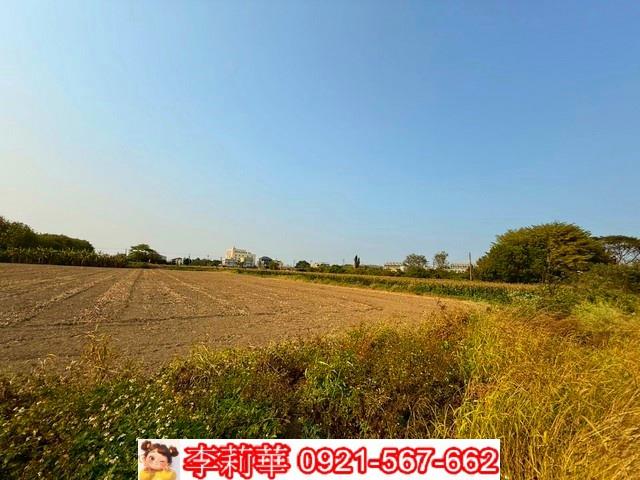 台南農地-7