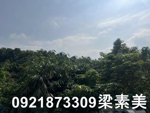 台南龍崎農地-2