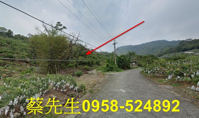 台南南化拍賣農地-13