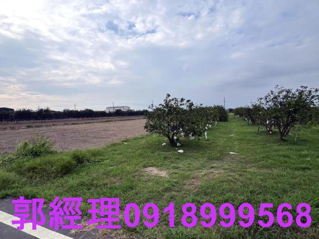 麻豆農地-7