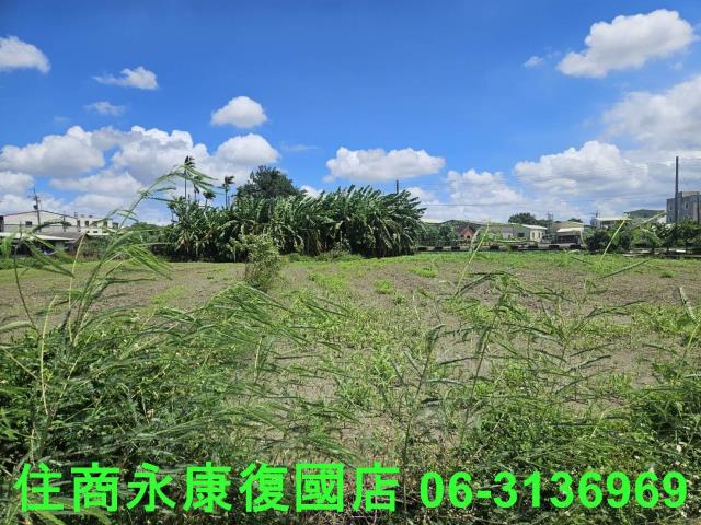 鹽水建地-8