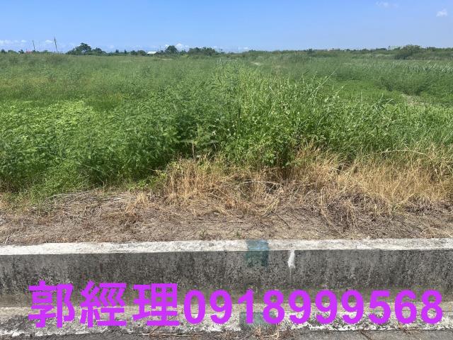 台南七股農地-2