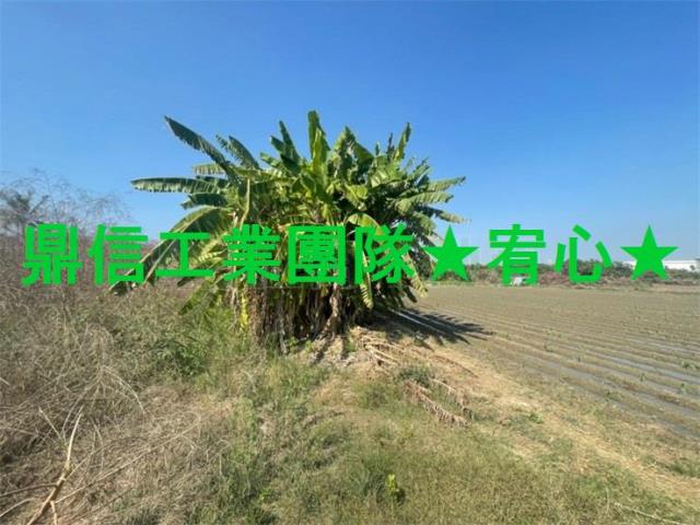 台南安南農地-1