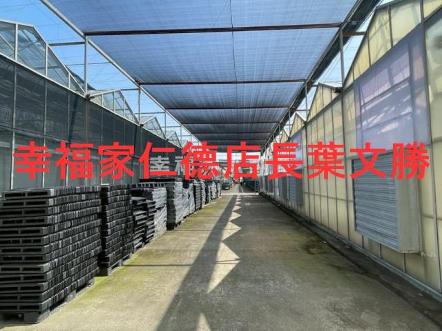 台南新營農地-8