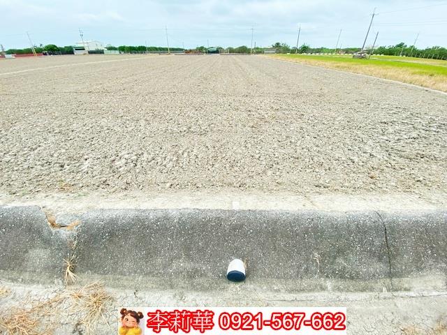 台南麻豆農地-7