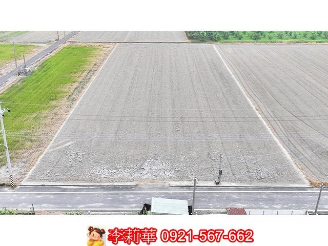 台南麻豆農地-8