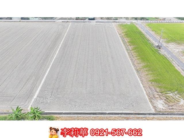 台南麻豆農地-9