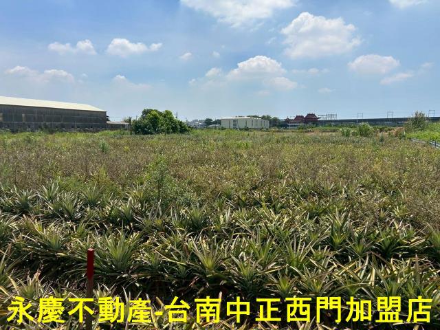 台南新化農地-4