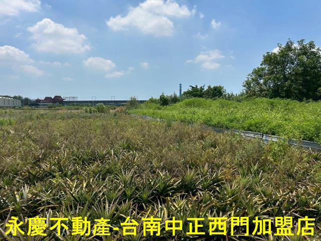 台南新化農地-5