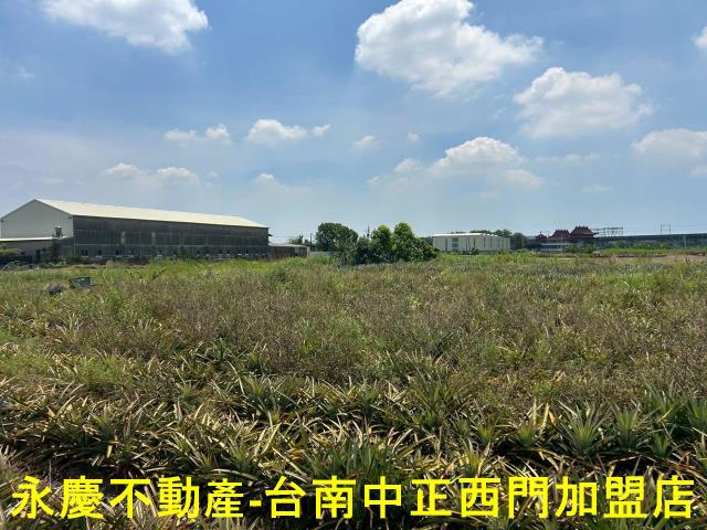 台南新化農地-6