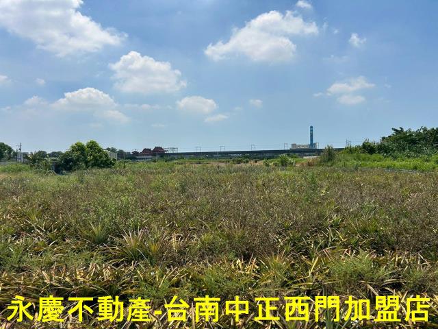 台南新化農地-7