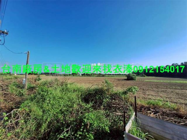 台南善化農地-1