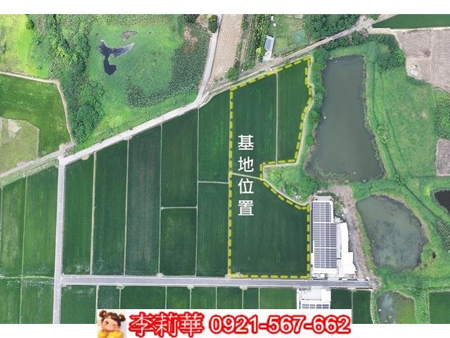 台南農地-5