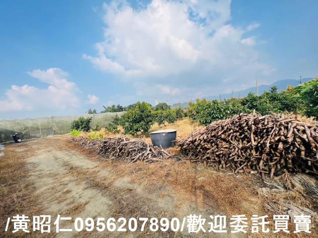 台南玉井農地-4