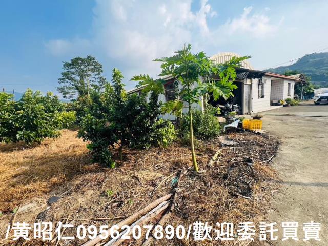 台南玉井農地-8