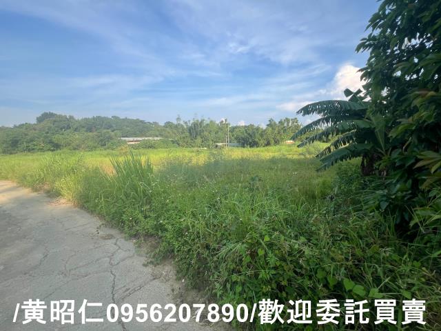 台南歸仁農地-10