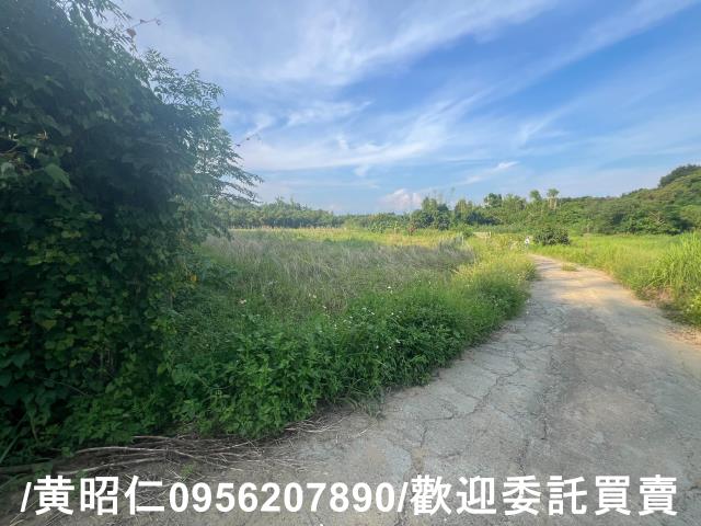 台南歸仁農地-9