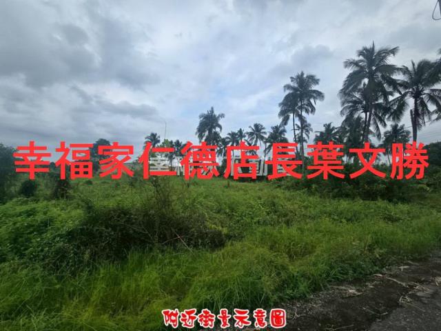 歸仁農地-10