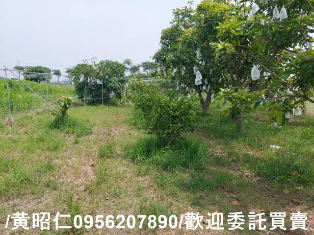 台南七股農地-14