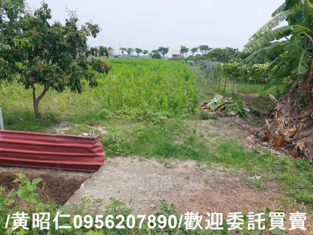 台南七股農地-4