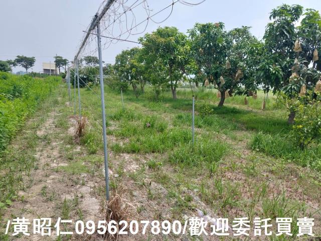 台南七股農地-6