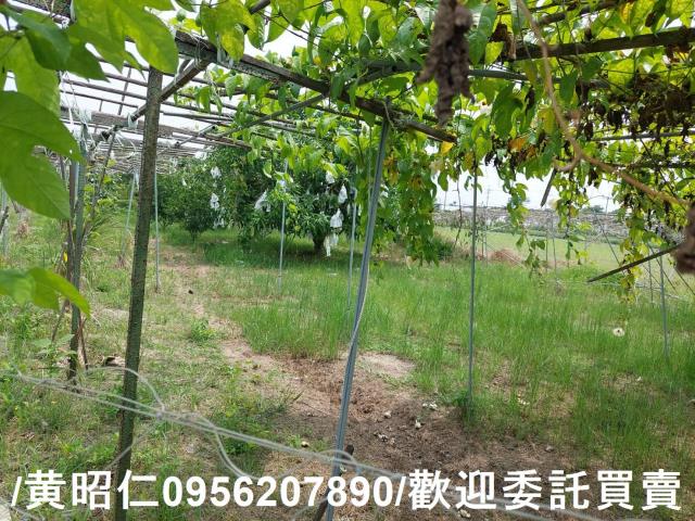 台南七股農地-7