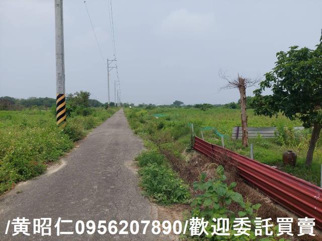 台南七股農地-8