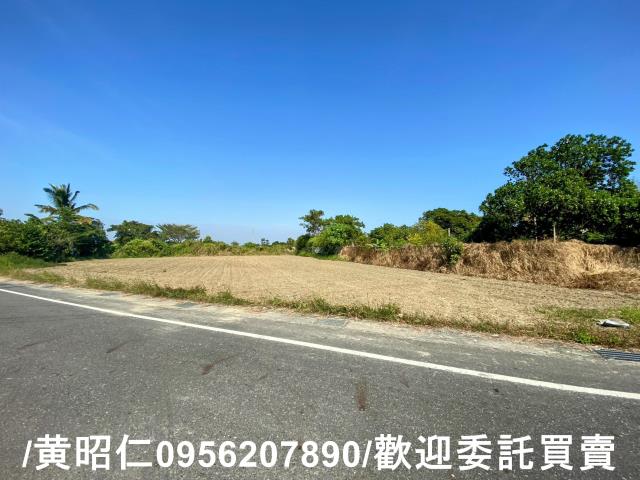 台南新化農地-4