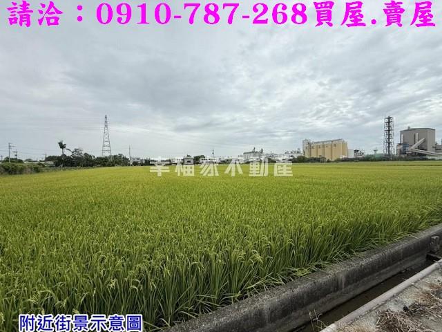 台南農地-4