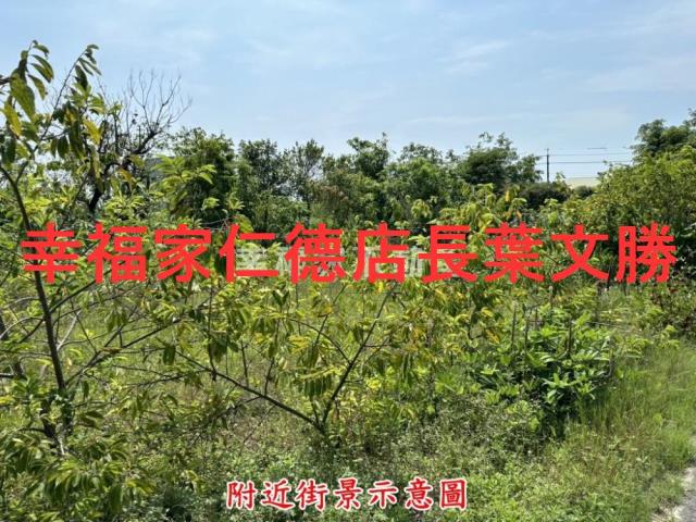 台南西港建地-14