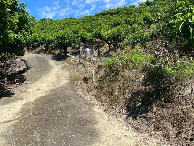 台南南化農地-9