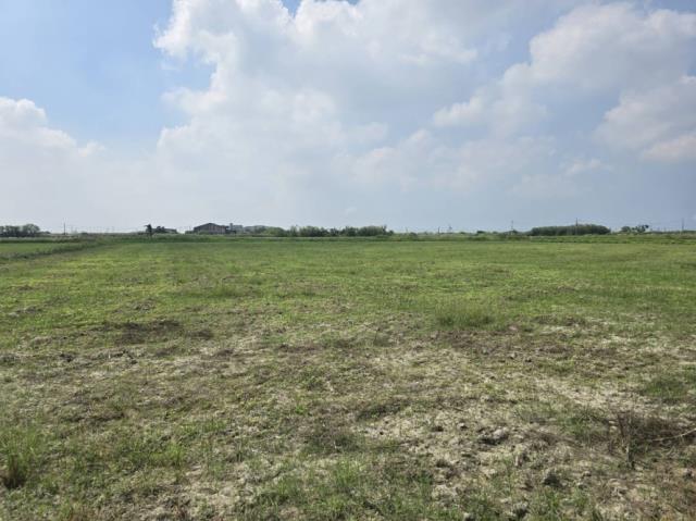 台南學甲農地-4