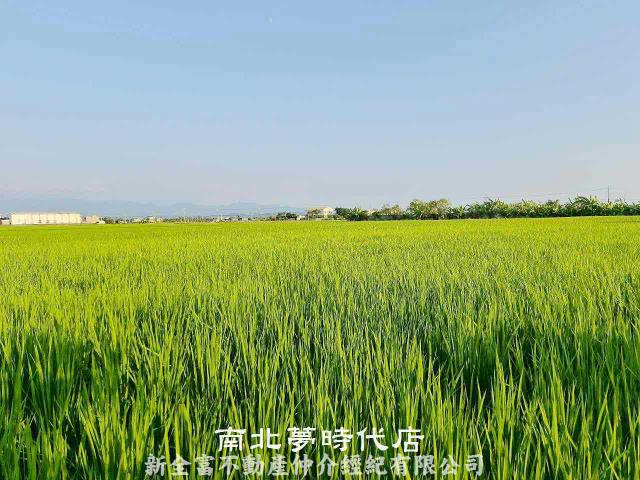 台南柳營農地-1
