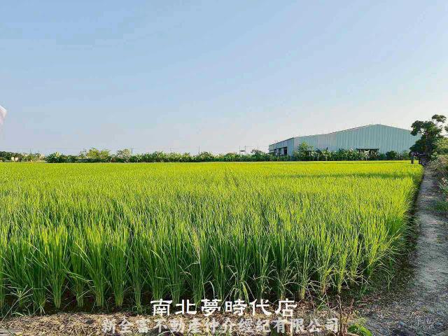 台南柳營農地-3